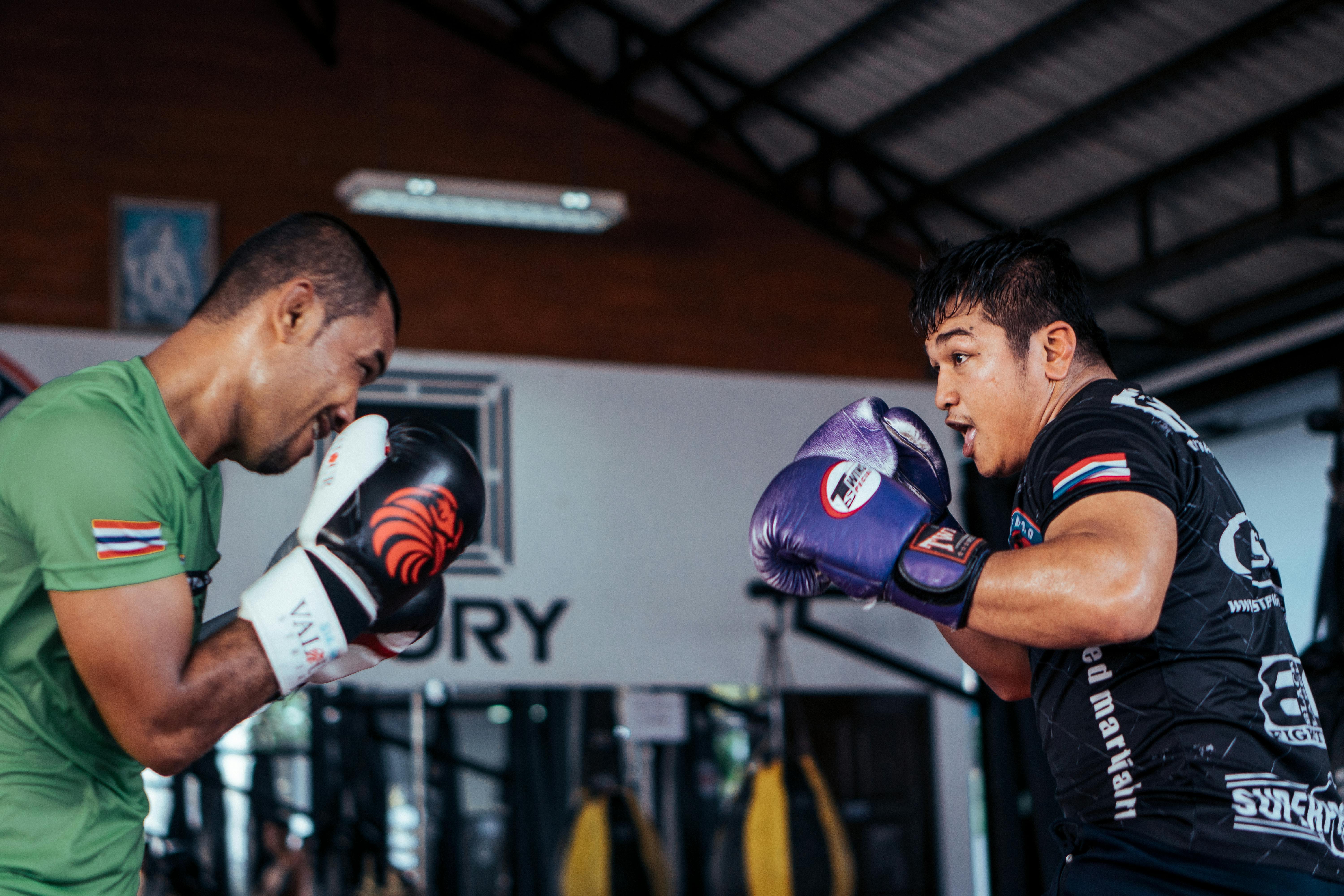 Martial Arts Banner